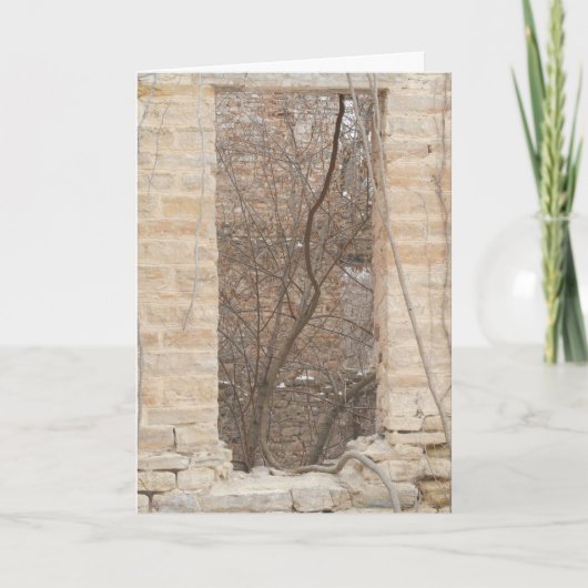 「オックスフォードミルウィンドウつる植物」クリスマスカード カード (正面)