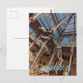 オックスフォード自然史博物館はがきT-レックスディノス ポストカード (正面/裏面)