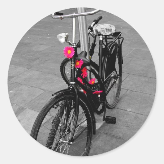 オックスフォード自転車 ラウンドシール (正面)