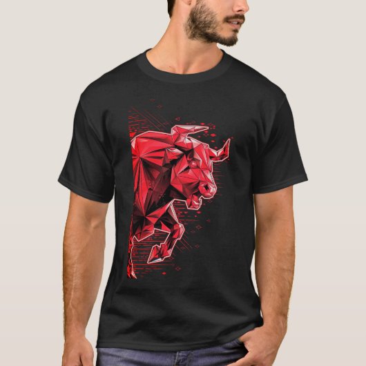 オックスプリント Tシャツ (正面)