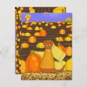 オッターのオリバーがカボチャを選ぶ ポストカード (正面/裏面)