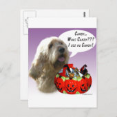 オッターハウンドのハロウィンお菓子 ポストカード (正面/裏面)