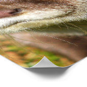 オッターポートレート ポスター (角)