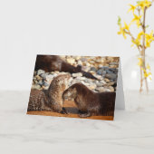 オッターラブ カード (黄色い花)