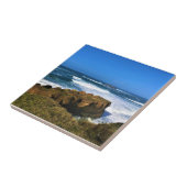 オッターロックatデビルズパンチョボウル州パーク，オレゴン タイル (側面)