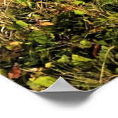 オッターロックatデビルズパンチョボウル州パーク,オレゴン ポスター (角)