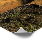 オッターロックatデビルズパンチョボウル州パーク，オレゴン ポスター (角)