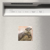 オッター冷蔵庫用マグネット マグネット (インサイチュ (食洗機))