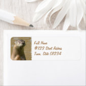 オッター差出人住所ラベル ラベル (インサイチュ)