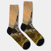 オッター食べズAフィッシュ、クルーソックス ソックス (右)