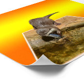 オッター食べ物ーのおいしい魚のポップアウト・アートのポスター ポスター (角)