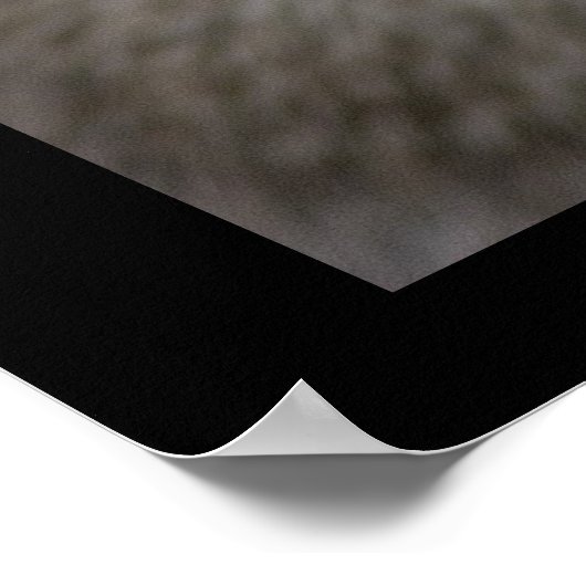 オッター ポスター (角)