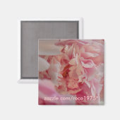 オッチアタ マグネット (正面/裏面)