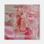 オッチアタ マグネット (正面)