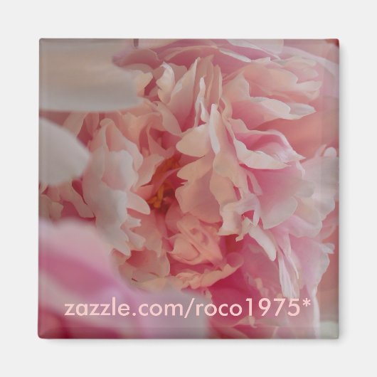 オッチアタ マグネット (正面)