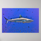 オット ポスター (正面)