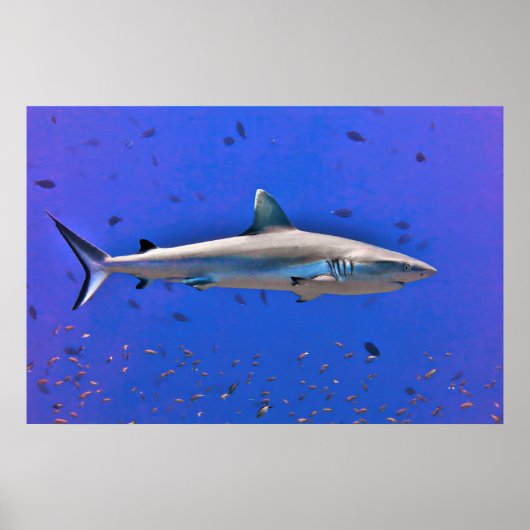 オット ポスター (正面)