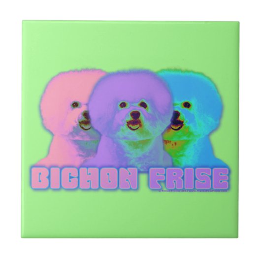オップアート- Bichon Frise - Cody タイル (正面)