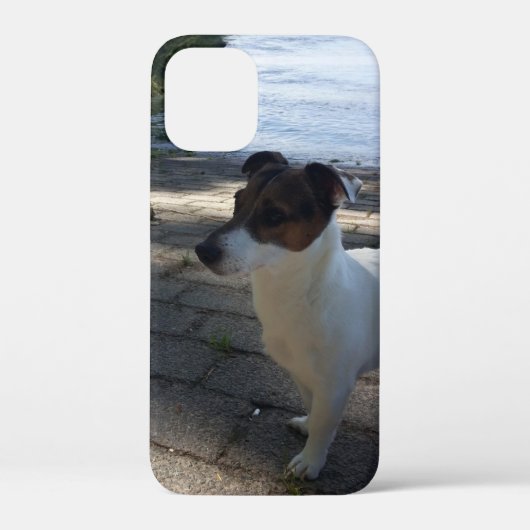オッペンハイムのカポ、ジャック・ラッセル・テリア Case-Mate iPhoneケース (裏面)