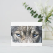 オディンズオーゲン ポストカード (スタンド正面)