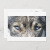 オディンズオーゲン ポストカード (正面/裏面)