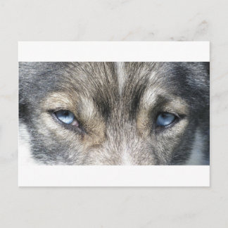 オディンズオーゲン ポストカード