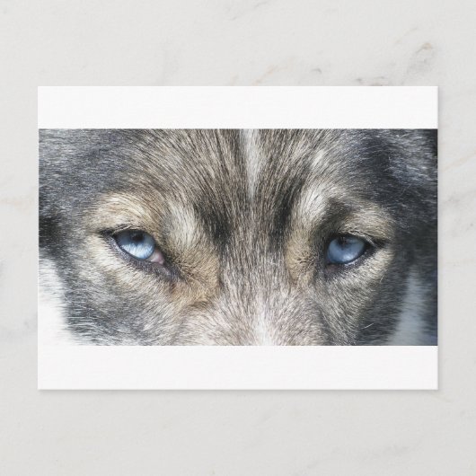 オディンズオーゲン ポストカード (正面)