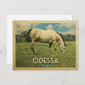 オデッサテキサス州ホースファーム – ヴィンテージトラベル ポストカード (正面/裏面)