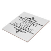 オデリンダムメチュアン タイル (側面)