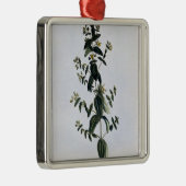 オトギリソウ、「コレクションPrecieからのプレート62、 メタルオーナメント (右)