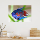 オトギリソウ ポスター (キッチン)