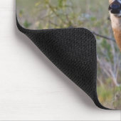 オドコイレウス産の白尾の鹿 マウスパッド (コーナー)