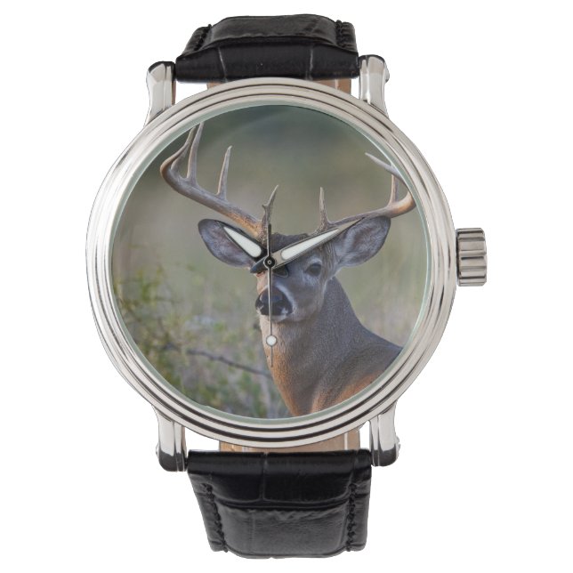 オドコイレウス産の白尾の鹿 腕時計 (正面)