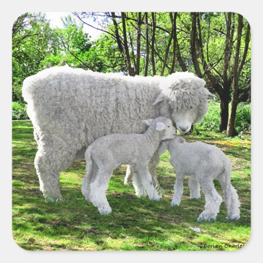 「オナと彼女の双子」 スクエアシール (正面)