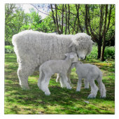 「オナと彼女の双子」 タイル (正面)