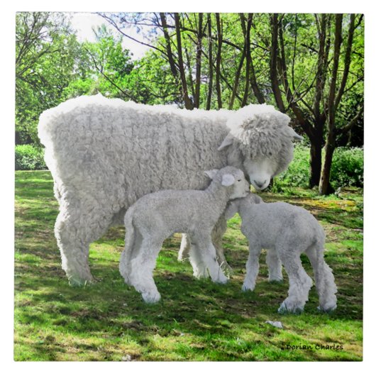 「オナと彼女の双子」 タイル (正面)