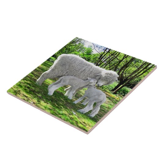 「オナと彼女の双子」 タイル (側面)