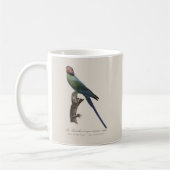 オナガインコ, Psittacula Longicauda コーヒーマグカップ (左)