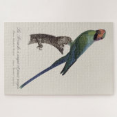 オナガインコ, Psittacula Longicauda ジグソーパズル (横)
