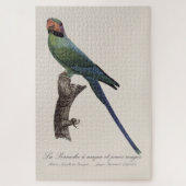 オナガインコ, Psittacula Longicauda ジグソーパズル (縦)