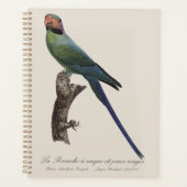 オナガインコ, Psittacula Longicauda プランナー手帳 (正面)