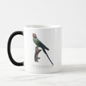 オナガインコ, Psittacula Longicauda モーフィングマグカップ (左)