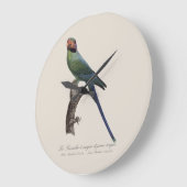オナガインコ, Psittacula Longicauda ラージ壁時計 (傾斜)