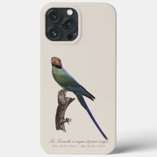 オナガインコ, Psittacula Longicauda Case-Mate iPhoneケース (裏面)