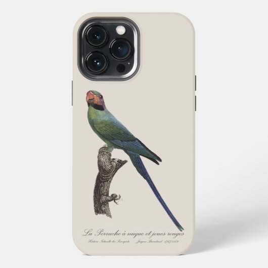 オナガインコ, Psittacula Longicauda iPhoneケース (裏面)