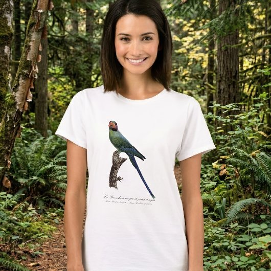 オナガインコ, Psittacula Longicauda Tシャツ