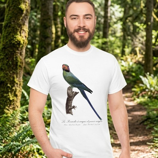 オナガインコ, Psittacula Longicauda Tシャツ