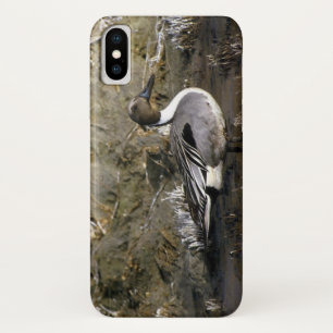 オナガガモのアヒルの恋人 iPhone X ケース