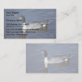 オナガガモのアヒルの男性 名刺 (正面/裏面)