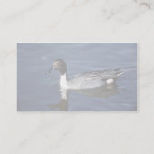 オナガガモのアヒルの男性 名刺 (裏面)